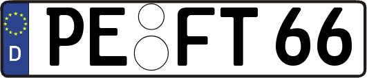 PE-FT66