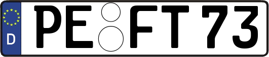 PE-FT73