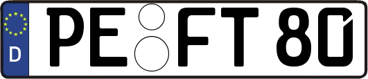 PE-FT80
