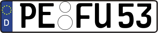 PE-FU53