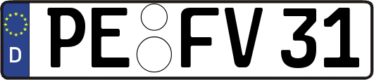 PE-FV31