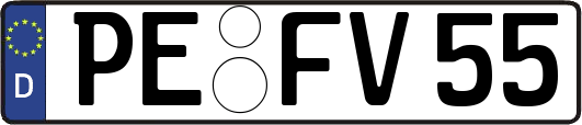 PE-FV55