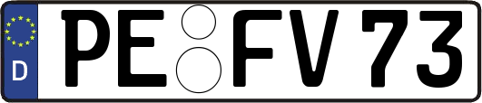 PE-FV73