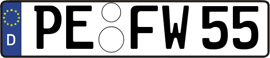 PE-FW55