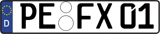PE-FX01