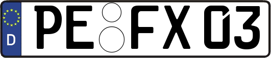 PE-FX03