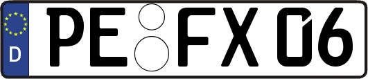 PE-FX06