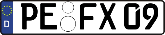 PE-FX09