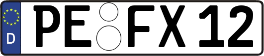 PE-FX12