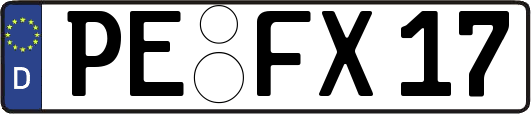 PE-FX17