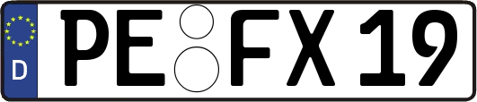 PE-FX19