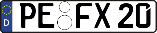 PE-FX20