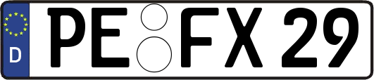 PE-FX29