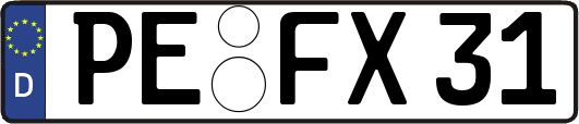 PE-FX31