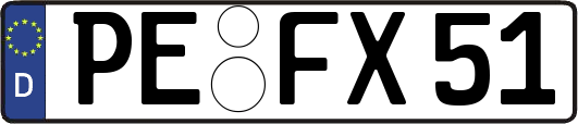 PE-FX51