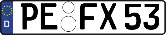 PE-FX53