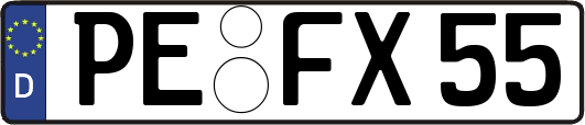 PE-FX55