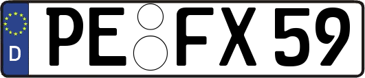PE-FX59