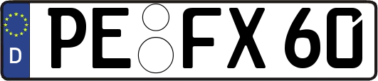 PE-FX60