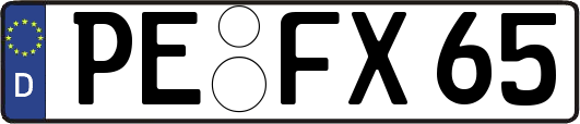 PE-FX65
