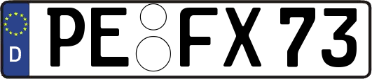 PE-FX73