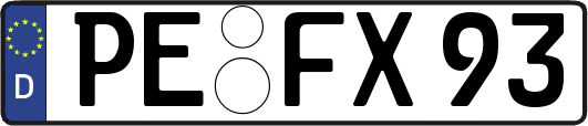 PE-FX93