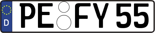 PE-FY55
