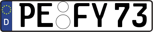 PE-FY73