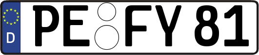 PE-FY81