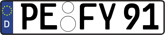 PE-FY91
