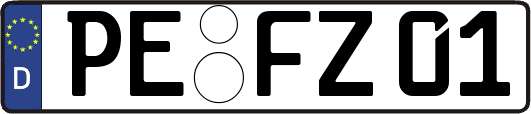 PE-FZ01