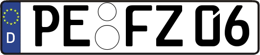 PE-FZ06