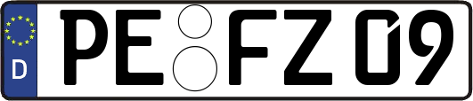 PE-FZ09