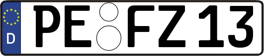 PE-FZ13