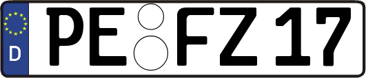 PE-FZ17
