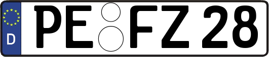 PE-FZ28