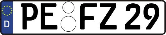 PE-FZ29