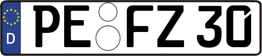 PE-FZ30