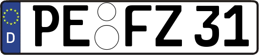 PE-FZ31