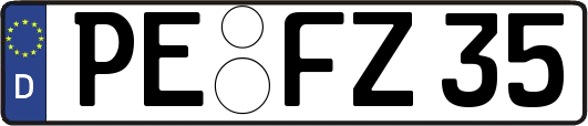 PE-FZ35