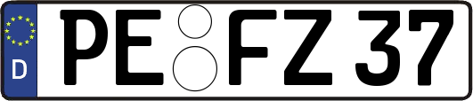 PE-FZ37
