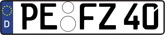 PE-FZ40