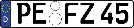 PE-FZ45