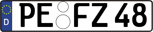PE-FZ48