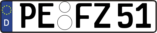 PE-FZ51