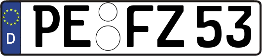 PE-FZ53