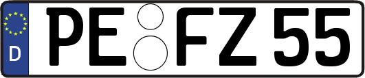 PE-FZ55