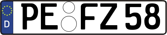 PE-FZ58