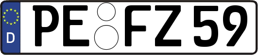 PE-FZ59