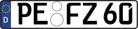 PE-FZ60